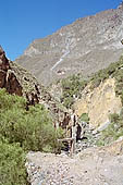Colca Canyon 